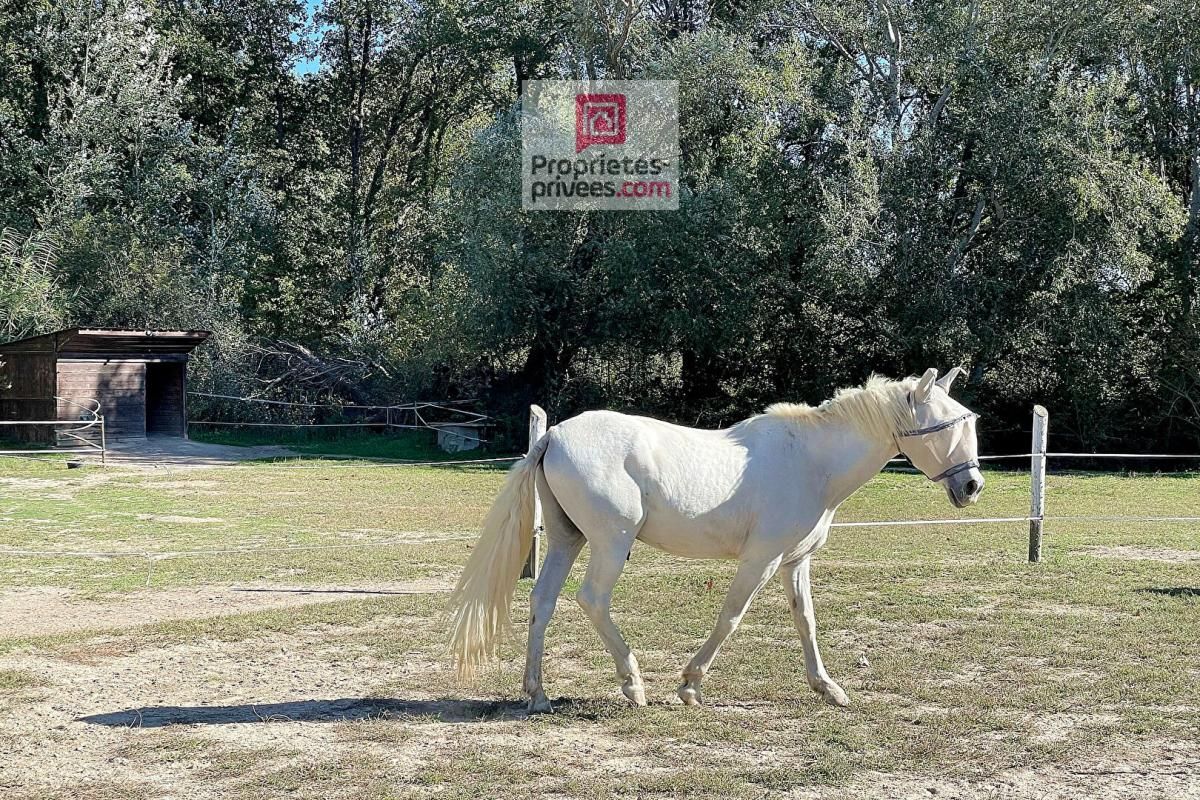 LA MOTTE-D'AIGUES Ravissante propriété à vocation équestre 3
