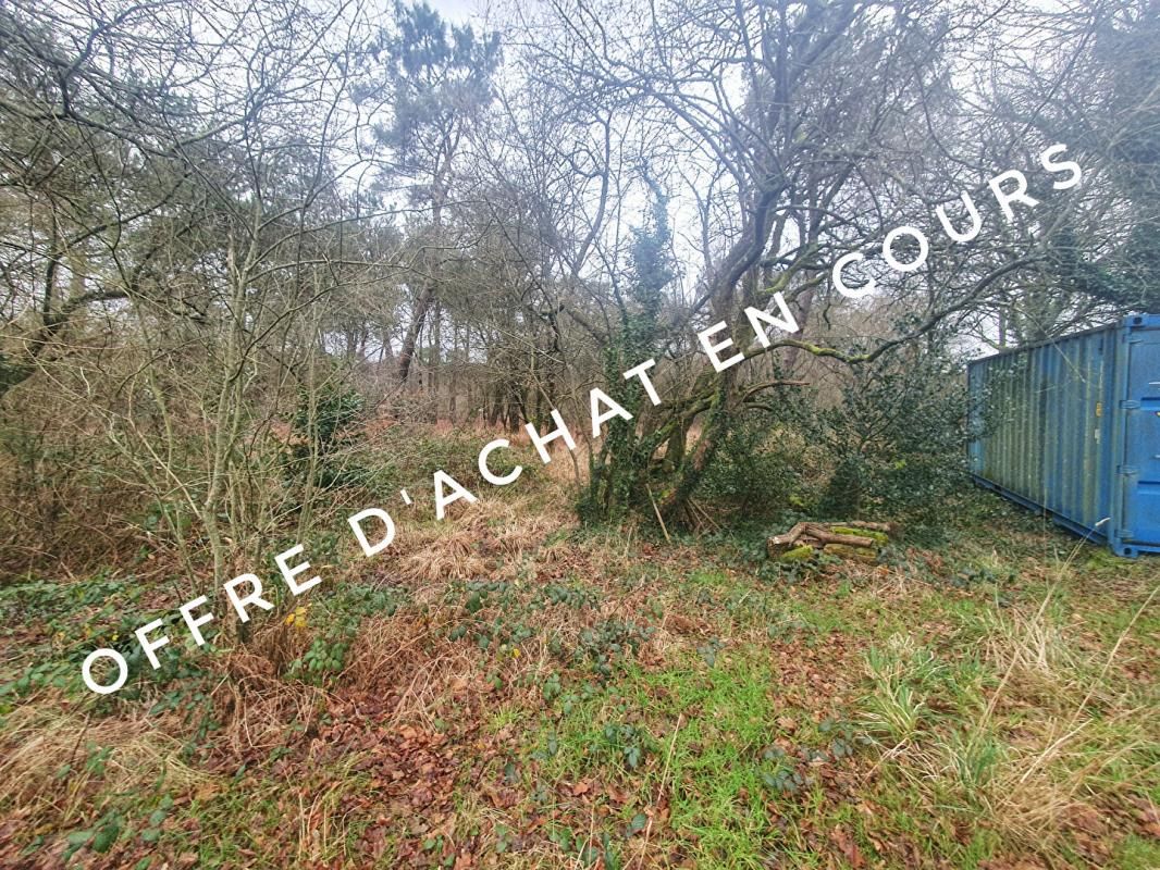 COLPO Terrain avec partie boisée et un contener 1