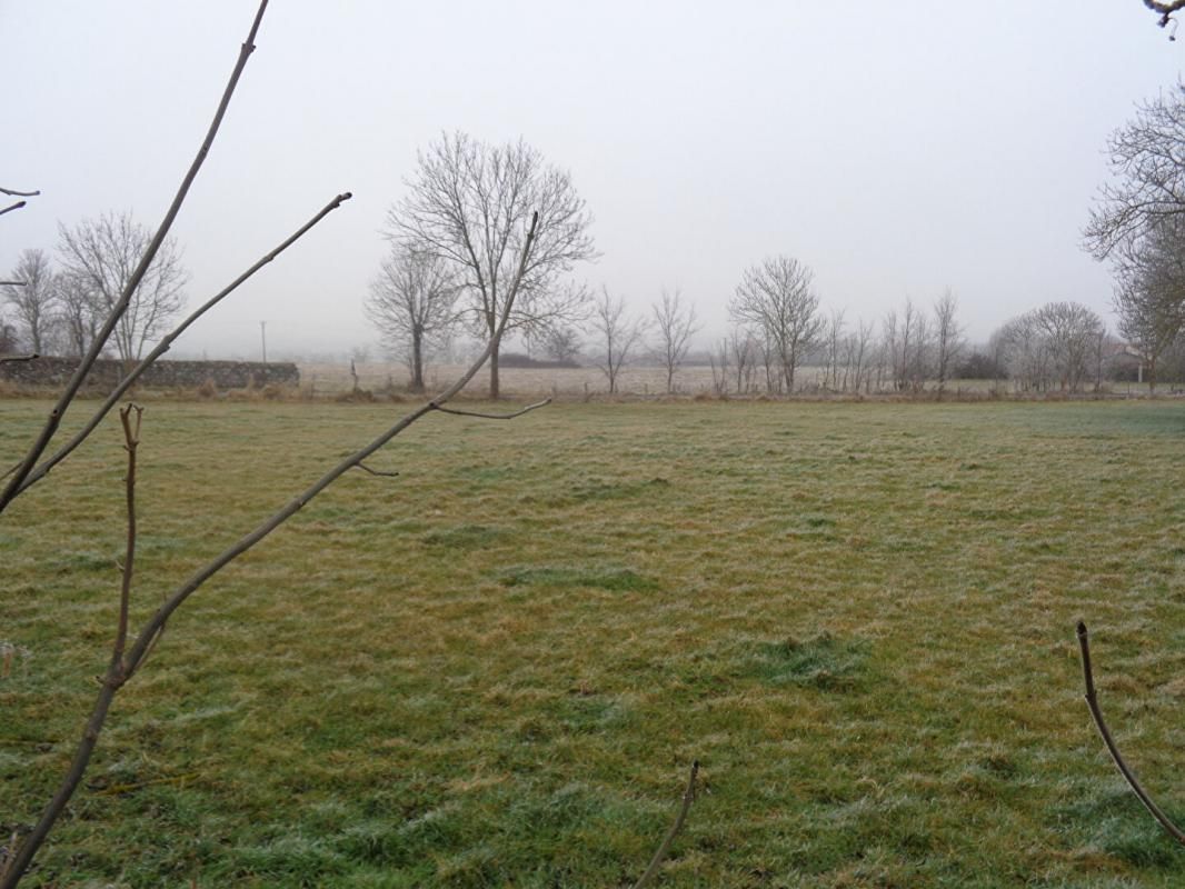 Le Brignon (43), terrain constructible de 3296 m2