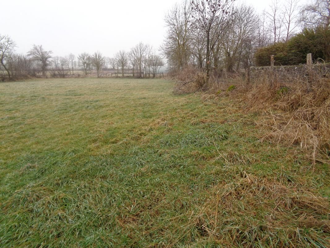 LE BRIGNON Le Brignon (43), terrain constructible de 3296 m2 4