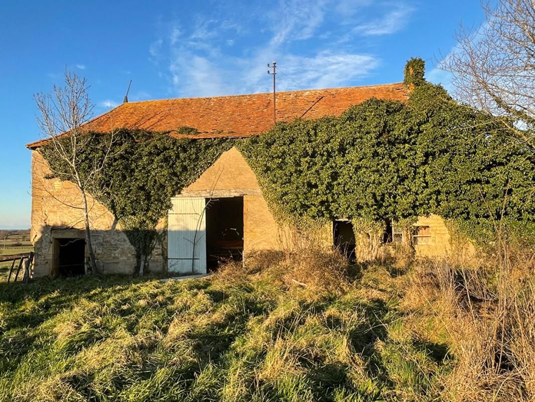 VERSAUGUES Corps de ferme à rebâtir avec possibilité d'avoir du terrain supplémentaire 3