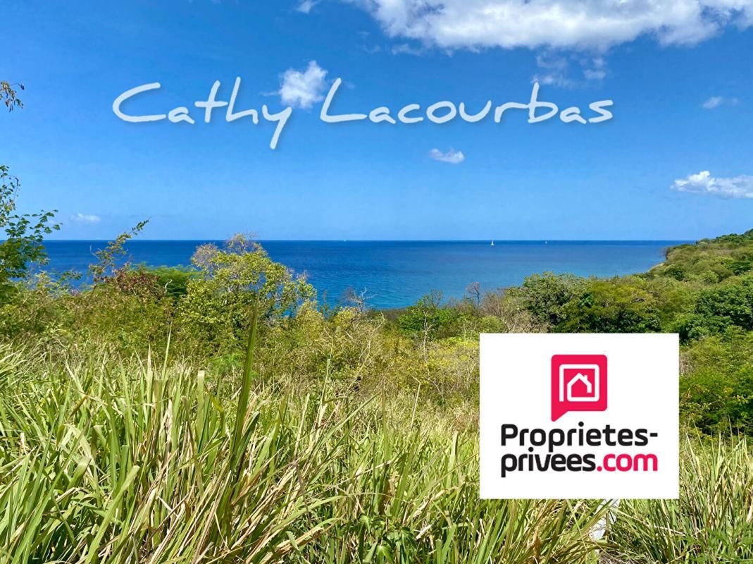 Superbe Terrain vue mer- Vieux Habitants -Guadeloupe