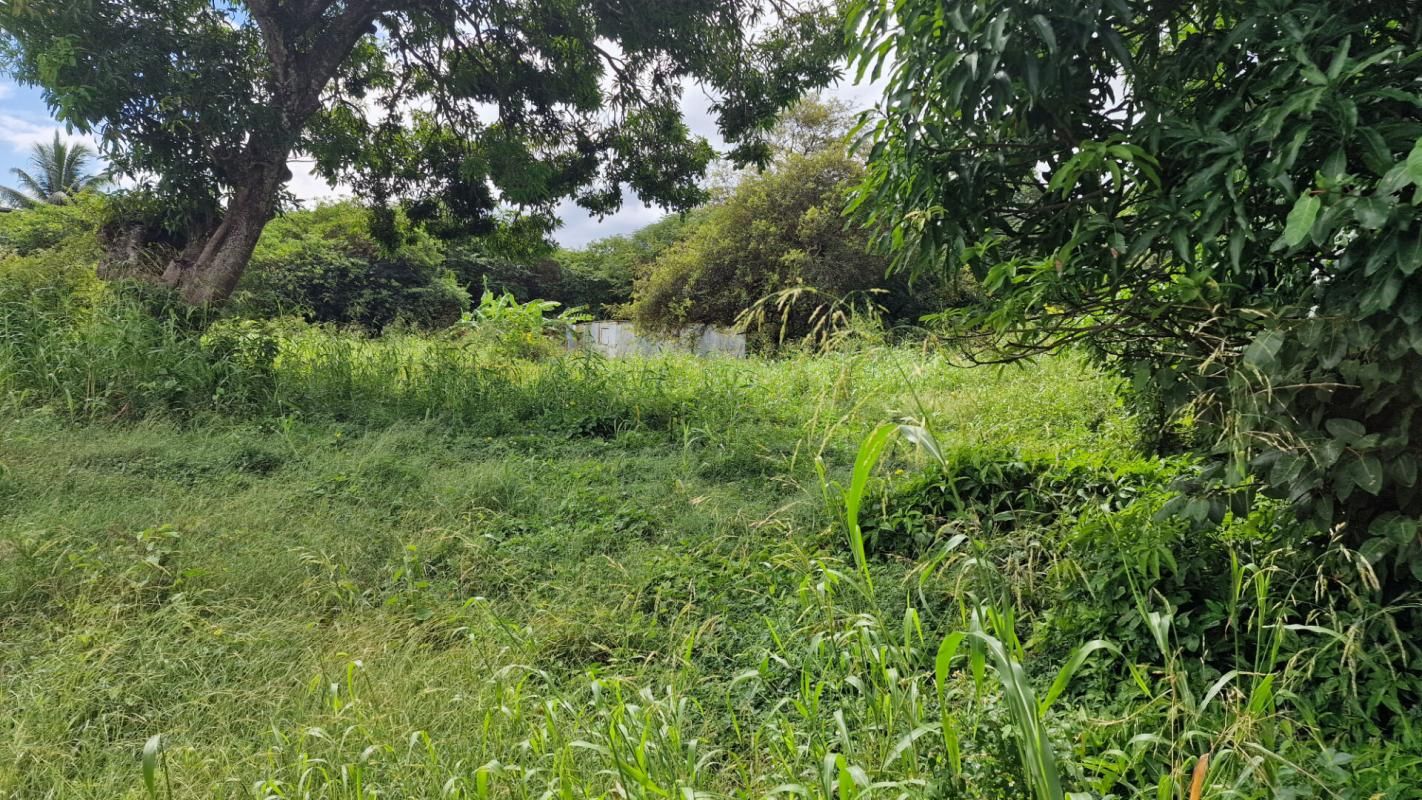 PETIT-CANAL Beau terrain plat de 800m² aux prix de 98000 Petit Canal 97131 Guadeloupe 2
