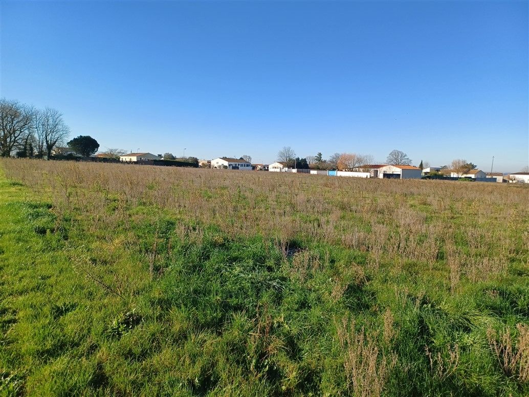 COZES Terrain Grezac 521 m2 3