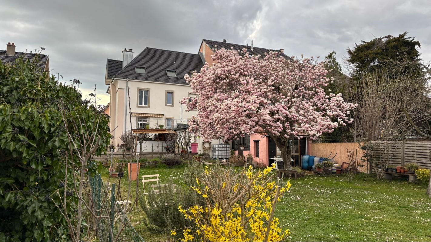 COLMAR Maison Colmar 10 pièce(s) 250.75 m2 2