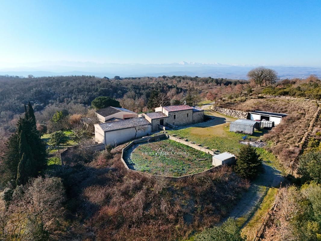 LIMOUX Domaine forestier de 42 hectares entre Limoux et Carcassonne 3