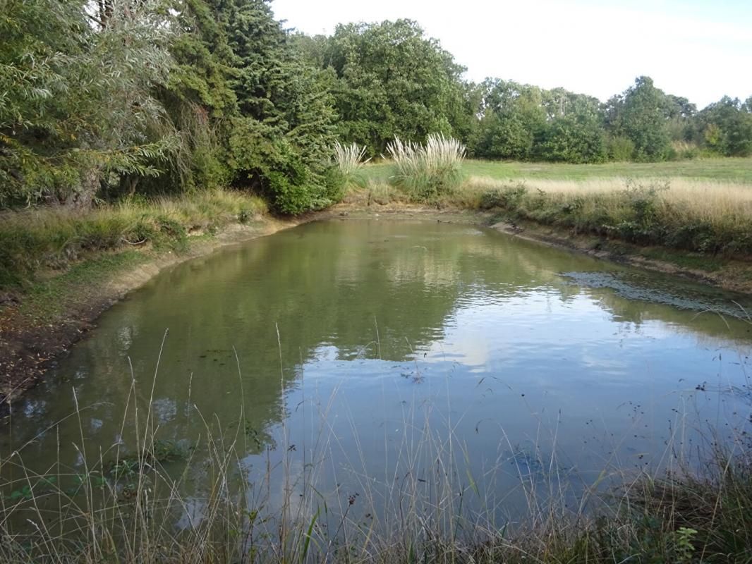 Terrain de loisirs