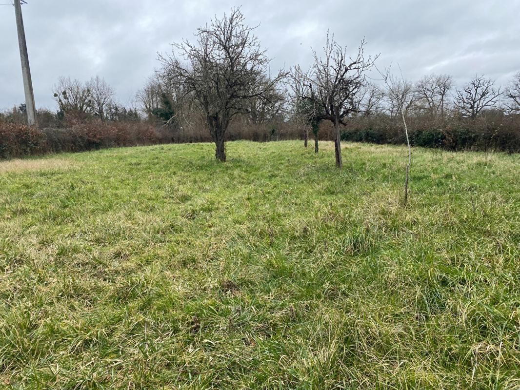 LUREUIL Terrain de loisirs 3