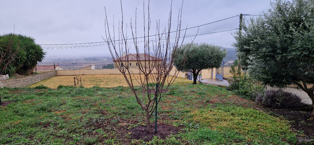 Terrain a batir 480 m2 avec jolie vue