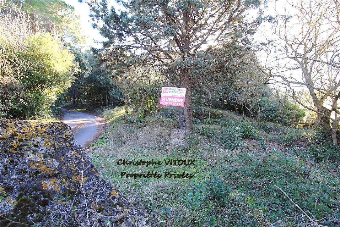 PALAJA Terrain viabilisé - 2500 m2 - 11570 PALAJA 1