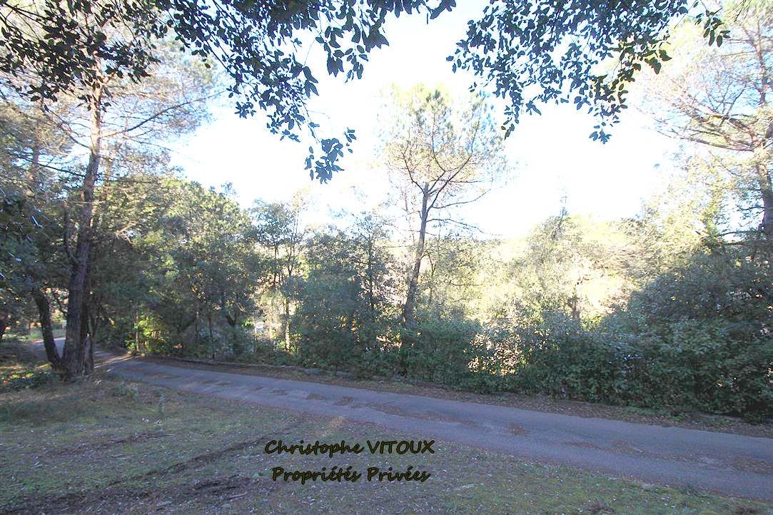 PALAJA Terrain viabilisé - 2500 m2 - 11570 PALAJA 2