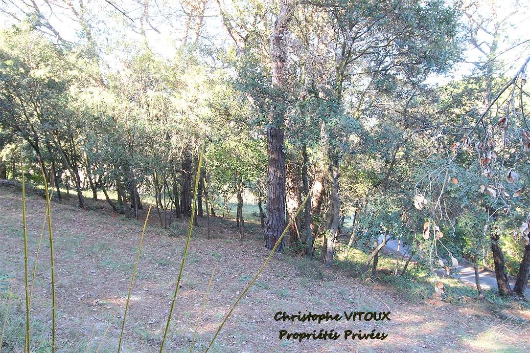 PALAJA Terrain viabilisé - 2500 m2 - 11570 PALAJA 3