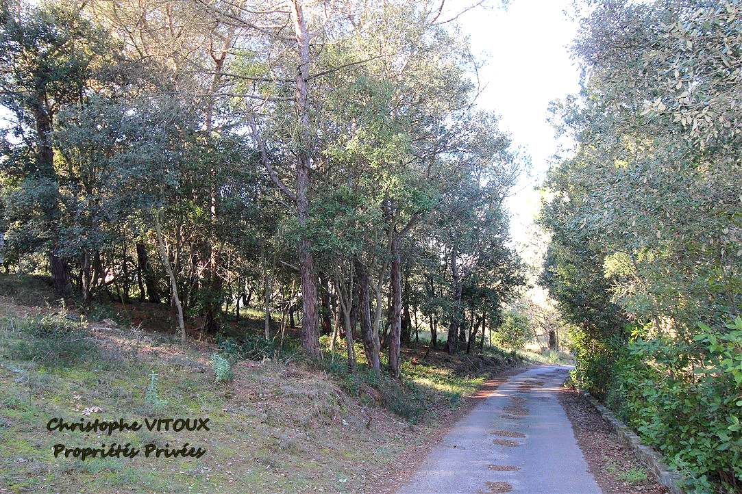 PALAJA Terrain viabilisé - 2500 m2 - 11570 PALAJA 4