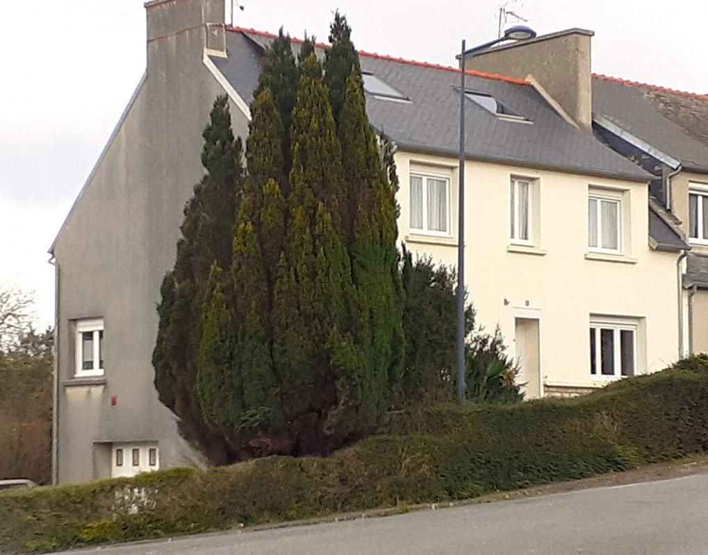 TELGRUC-SUR-MER Maison 6 chambres - 29 560 TELGRUC sur MER 3