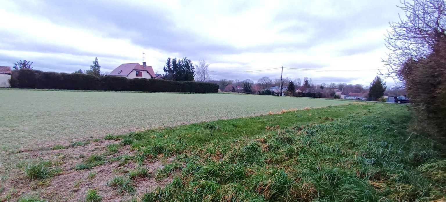 Terrain constructible et divisible de 2439m2