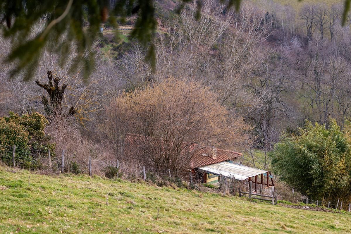 VIOLAY Terrain de loisirs avec construction bois 2