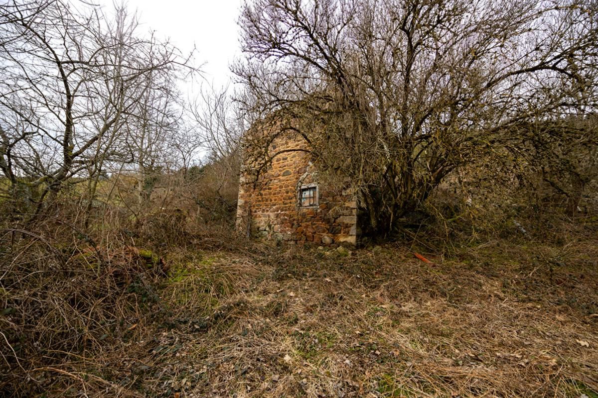 VIOLAY Terrain de loisirs avec construction bois 3