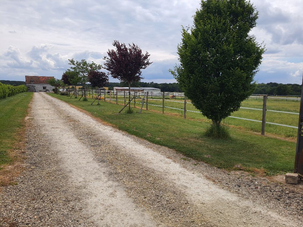 SAINT-HIPPOLYTE Maison Saint Hippolyte 5 pièce(s) 130 m2 4
