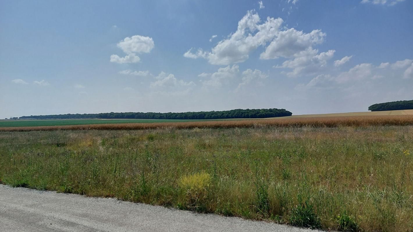 BRECY Terrain Brecy 1042 m2 4