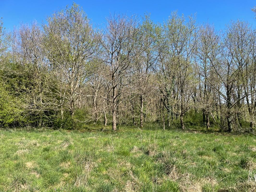 SAINT-LEGER-LES-PARAY Maison Saint Leger Les Paray 1 pièce(s) 30 m2 sur terrain constructible de 912 m² 2