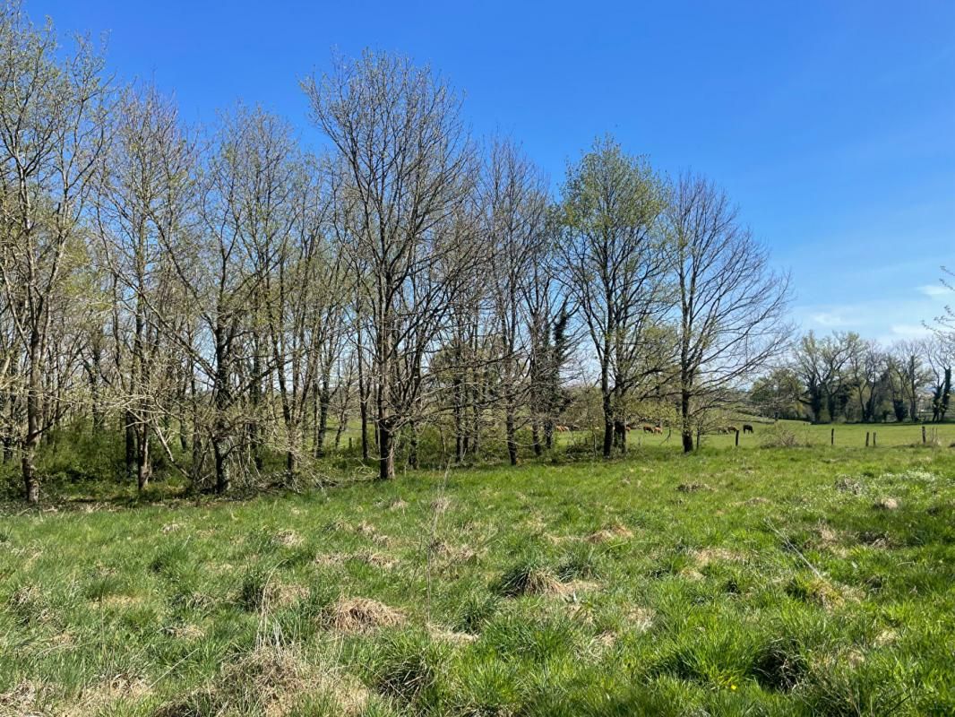 SAINT-LEGER-LES-PARAY Maison Saint Leger Les Paray 1 pièce(s) 30 m2 sur terrain constructible de 912 m² 3