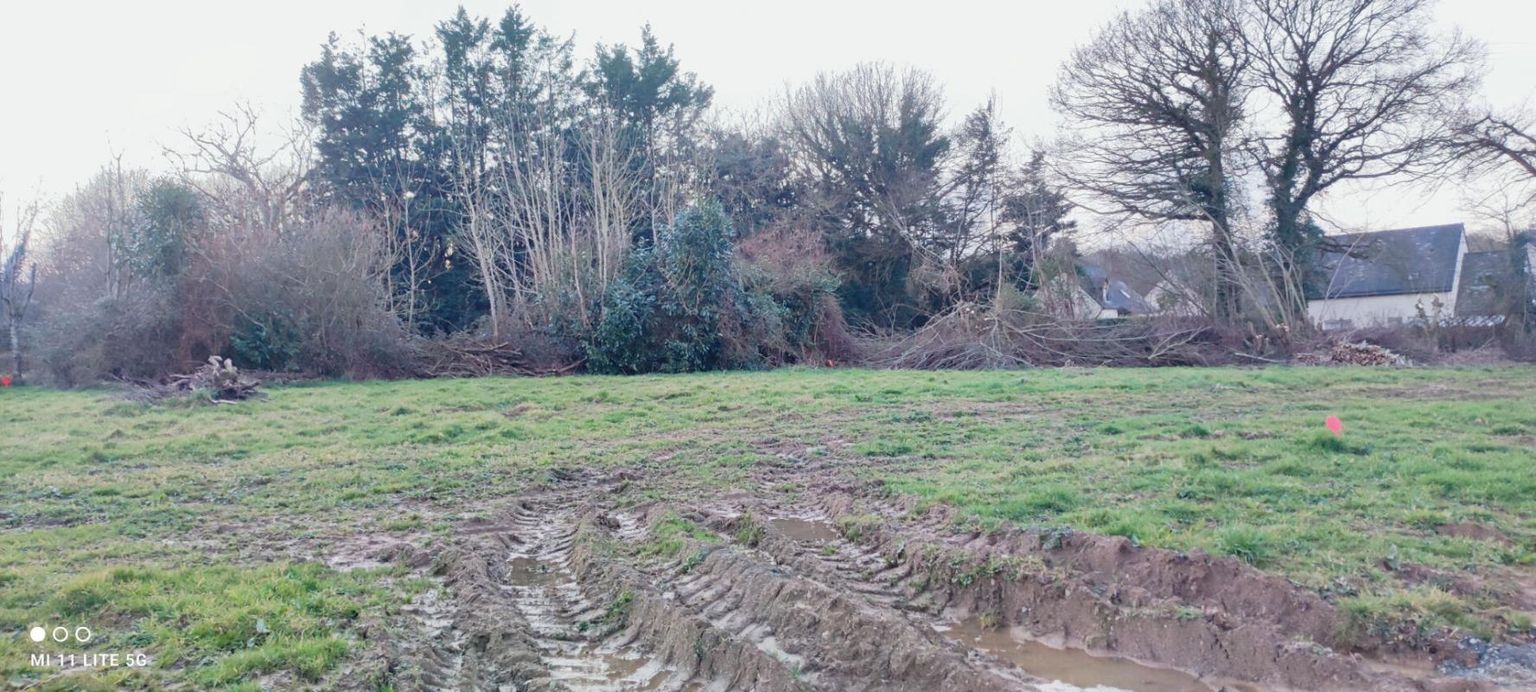 LANGROLAY-SUR-RANCE Terrain Langrolay Sur Rance 554 m2 2