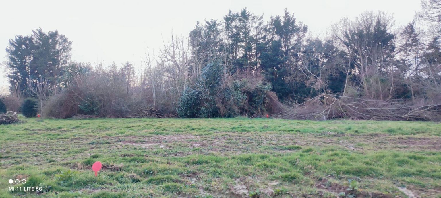 LANGROLAY-SUR-RANCE Terrain Langrolay Sur Rance 565 m2 3
