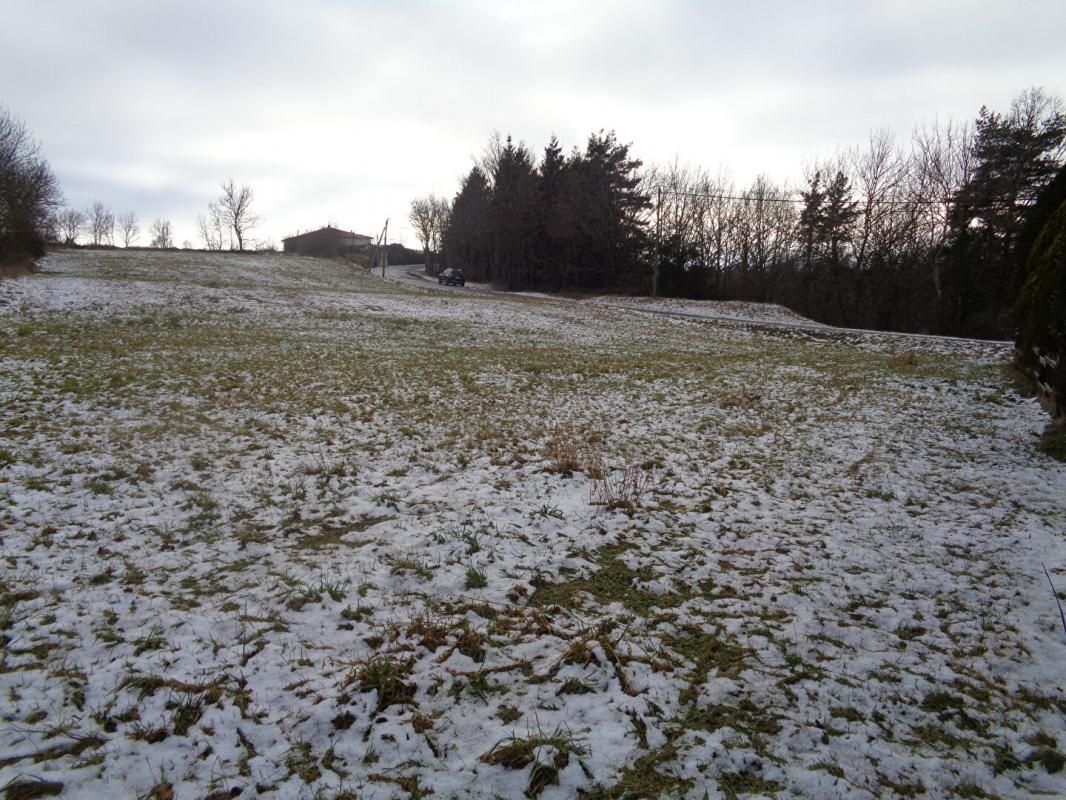 SANSSAC-L'EGLISE Sanssac L'Eglise(43), terrain constructible de 2.768 m2 2