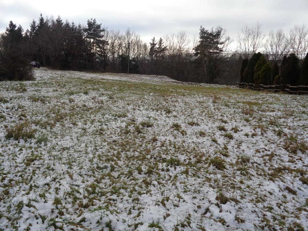 SANSSAC-L'EGLISE Sanssac L'Eglise(43), terrain constructible de 2.768 m2 3