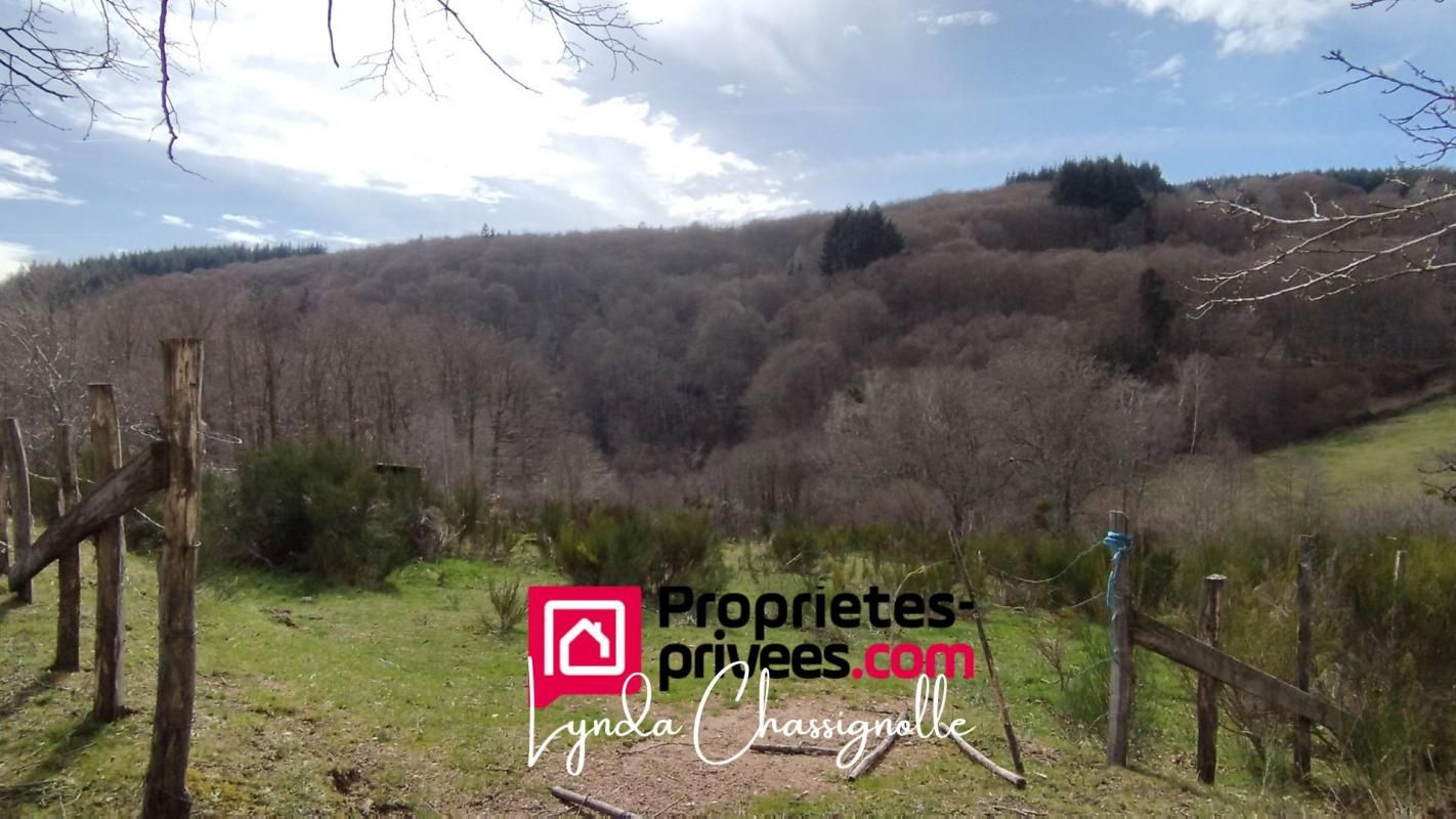 AMBIERLE Maison en pierre de 163m² 2