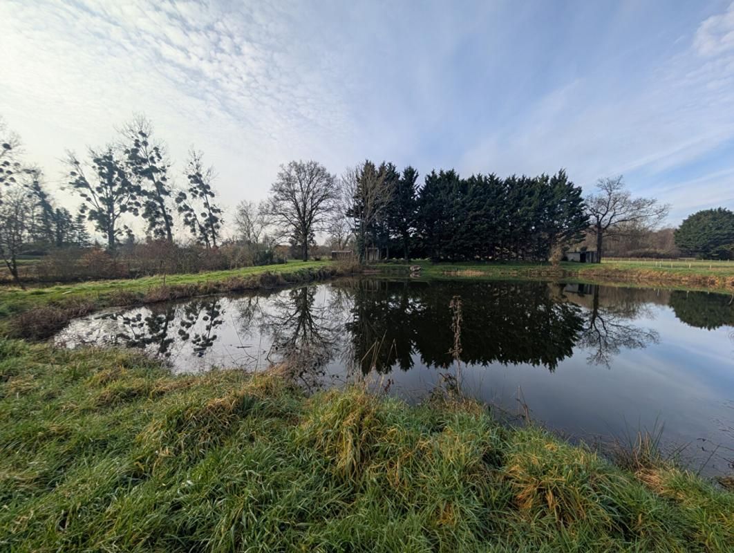 AVRILLE-LES-PONCEAUX A vendre Terrain de loisirs avec étang de 7300 m² - 37340 AVRILLE LES PONCEAUX 2