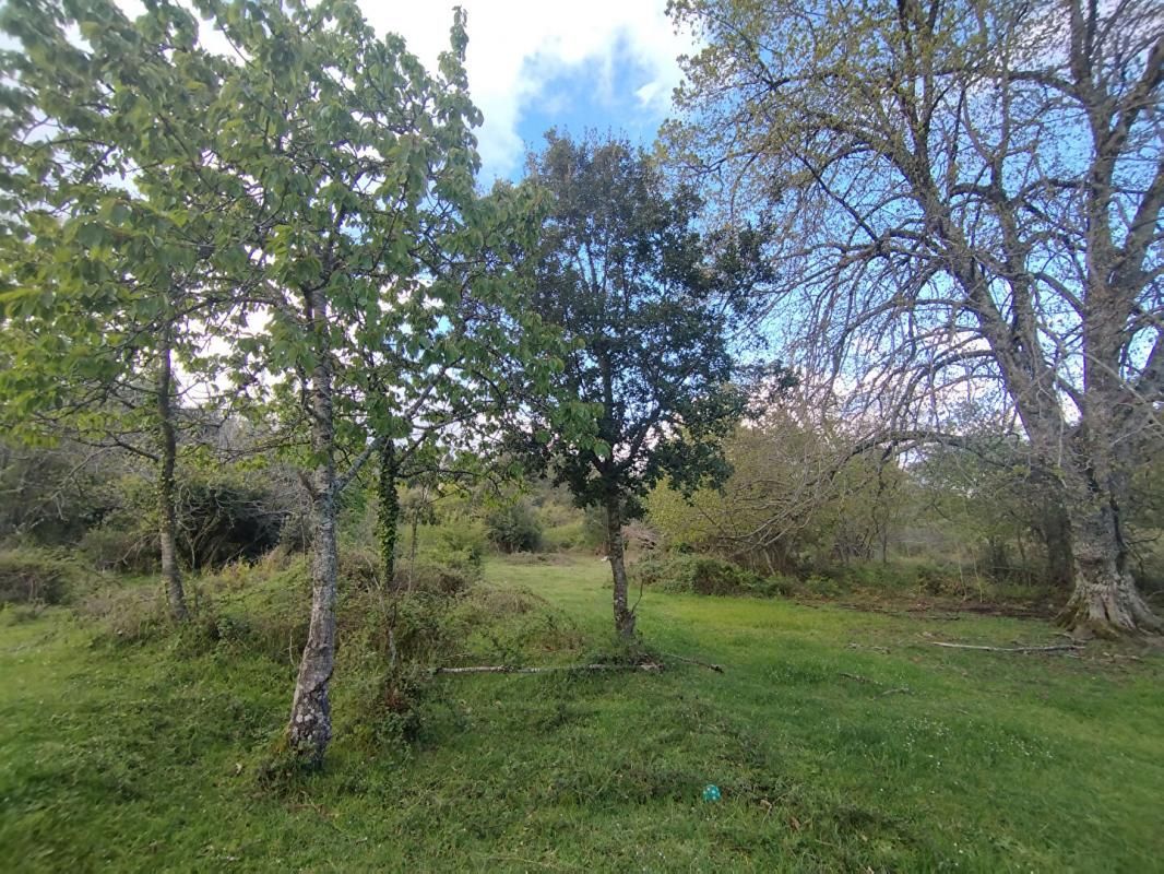 QUENZA Dpt CORSE (20), Terrain de 3000m2 situé à QUENZA - Vue dégagée 2