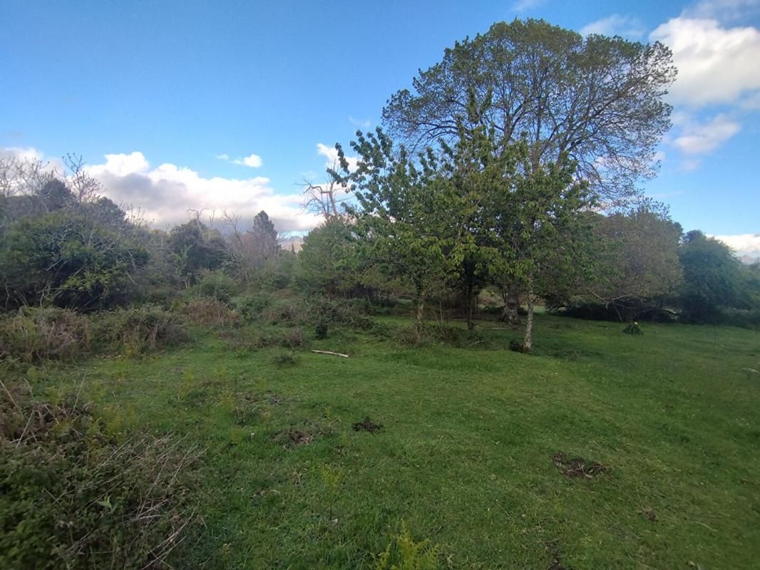 QUENZA Dpt CORSE (20), Terrain de 3000m2 situé à QUENZA - Vue dégagée 3
