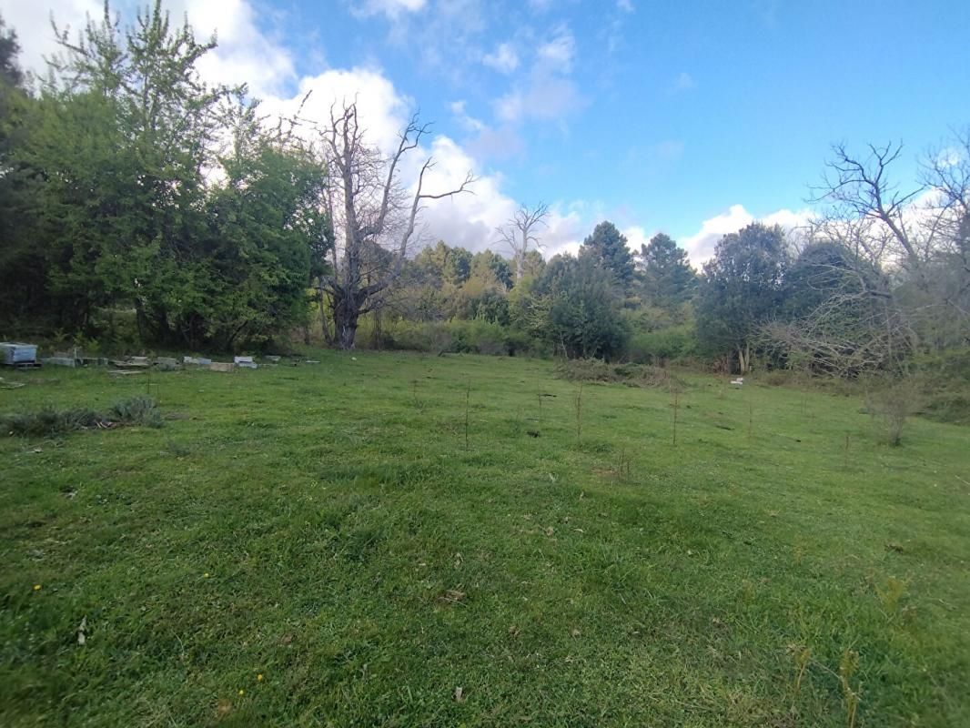 QUENZA Dpt CORSE (20), Terrain de 3000m2 situé à QUENZA - Vue dégagée 4