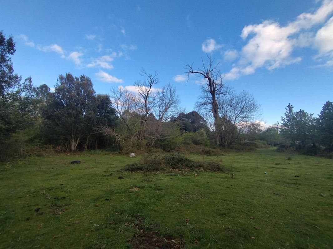 Dpt CORSE (20), Terrain de 3000m2 situé à QUENZA - Vue dégagée