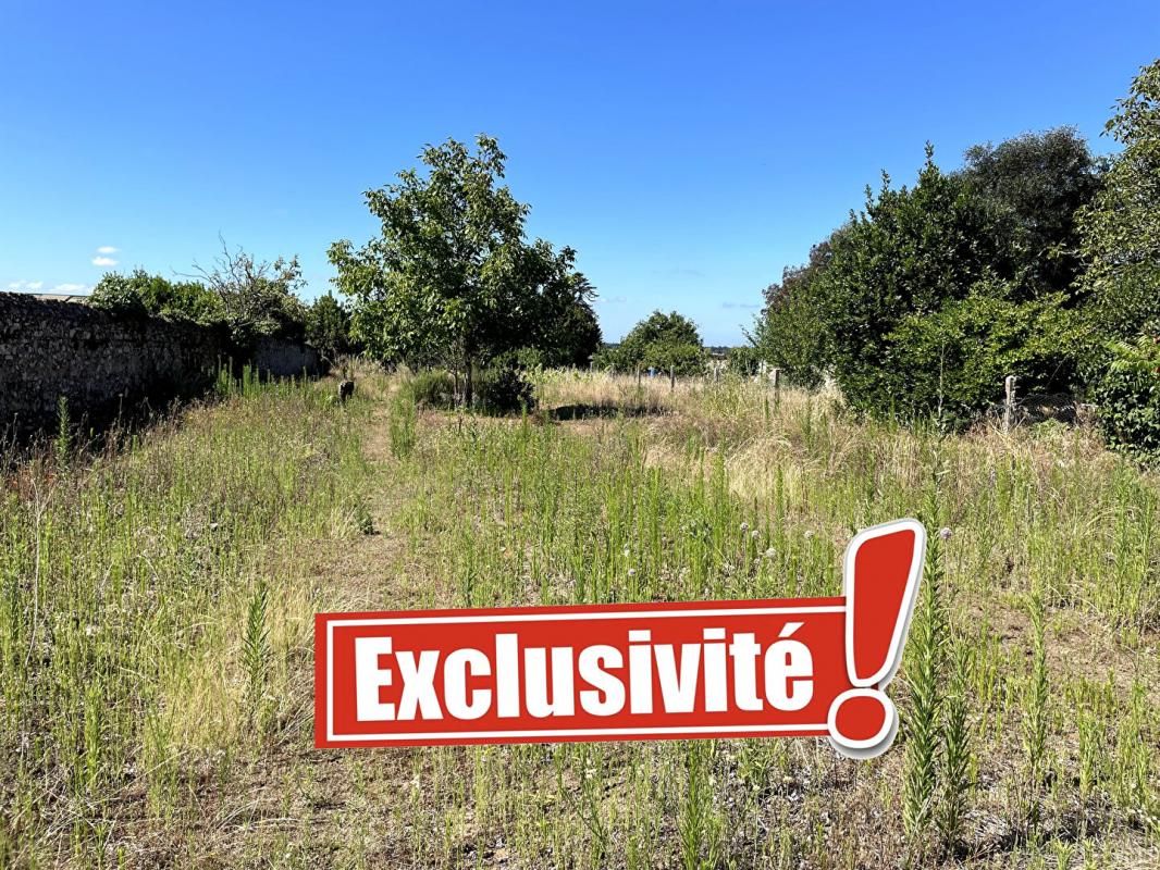 PAIMBOEUF 44560 Paimboeuf Terrain hors lotissement de 1345 m2 3