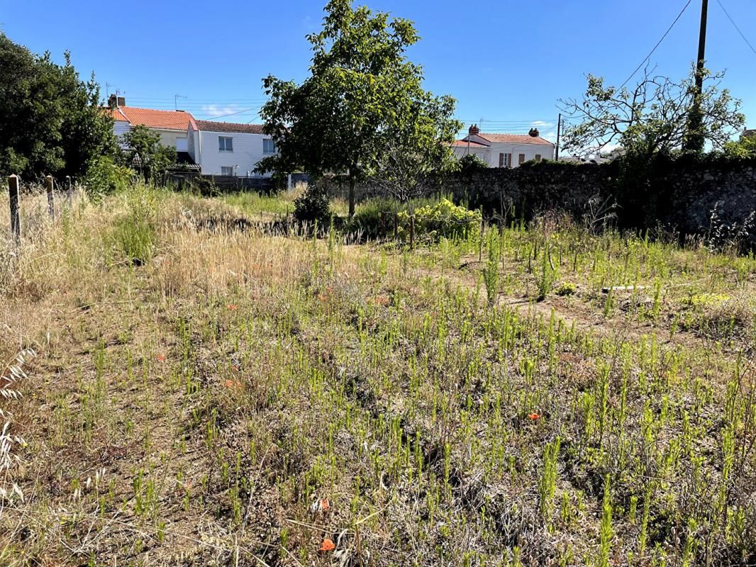 PAIMBOEUF 44560 Paimboeuf Terrain hors lotissement de 1345 m2 4