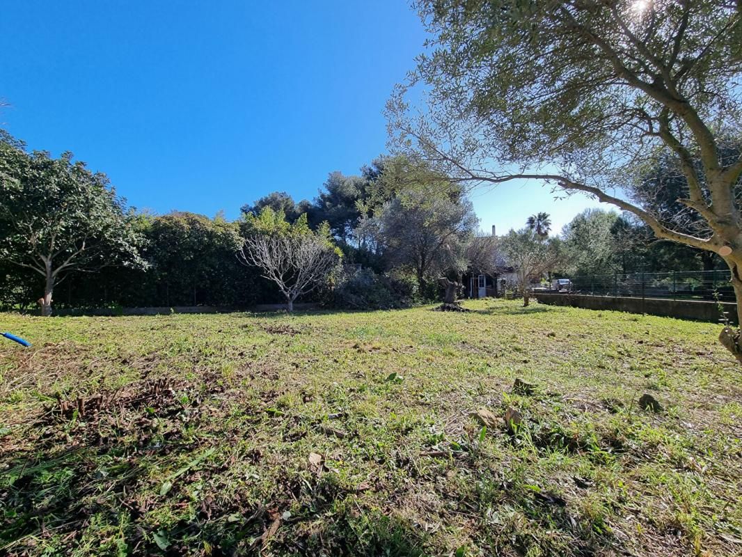 LA SEYNE-SUR-MER Terrain La Seyne Sur Mer 704 m2 2