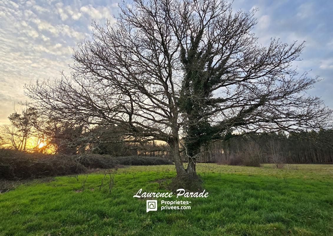 LE PIZOU Terrain non constructible 7000m² 2
