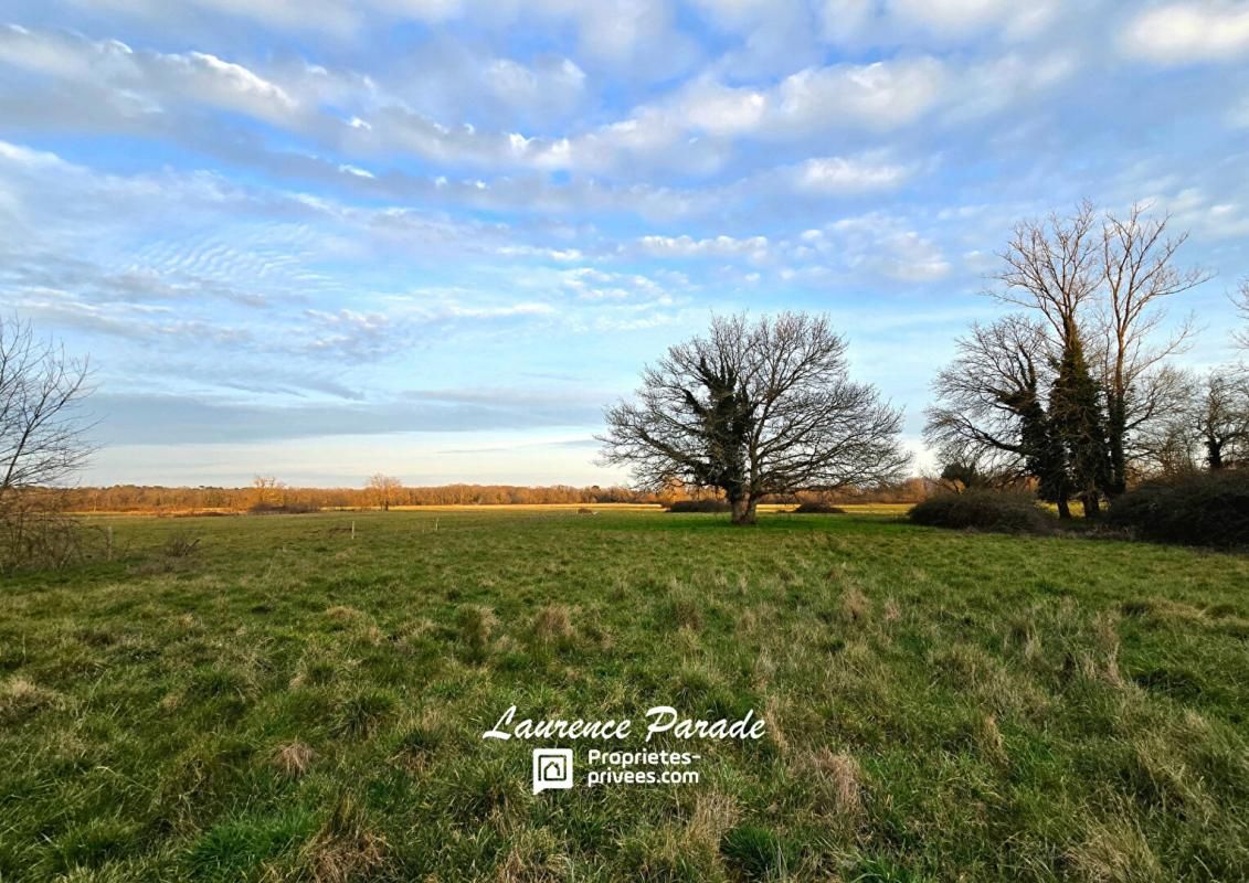 LE PIZOU Terrain non constructible 7000m² 4