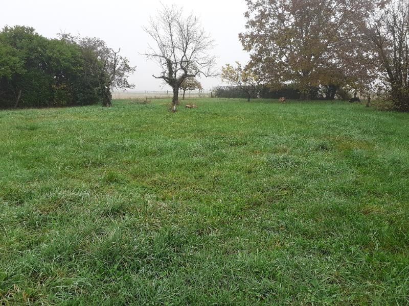 NIEVROZ Terrain Nievroz 1610 m2 3