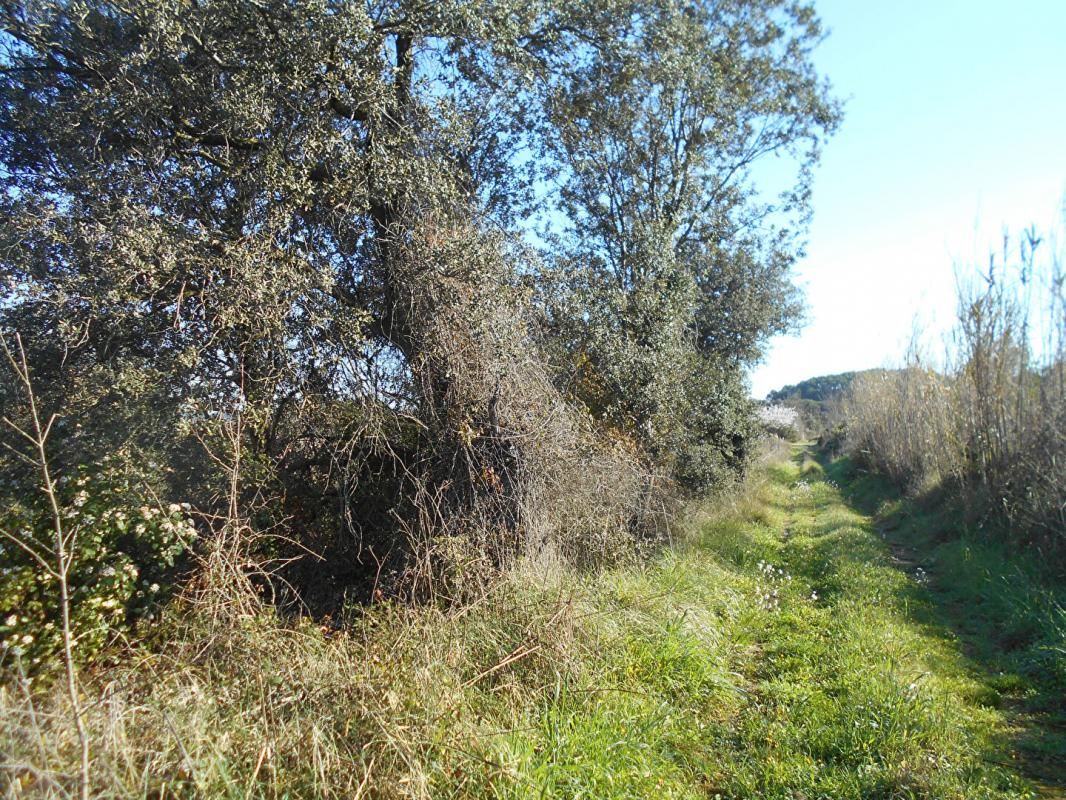SAINT-PONS-DE-MAUCHIENS Terrain agricole ou de loisirs, Saint Pons de Mauchiens 34230-6270 M2 m2 4