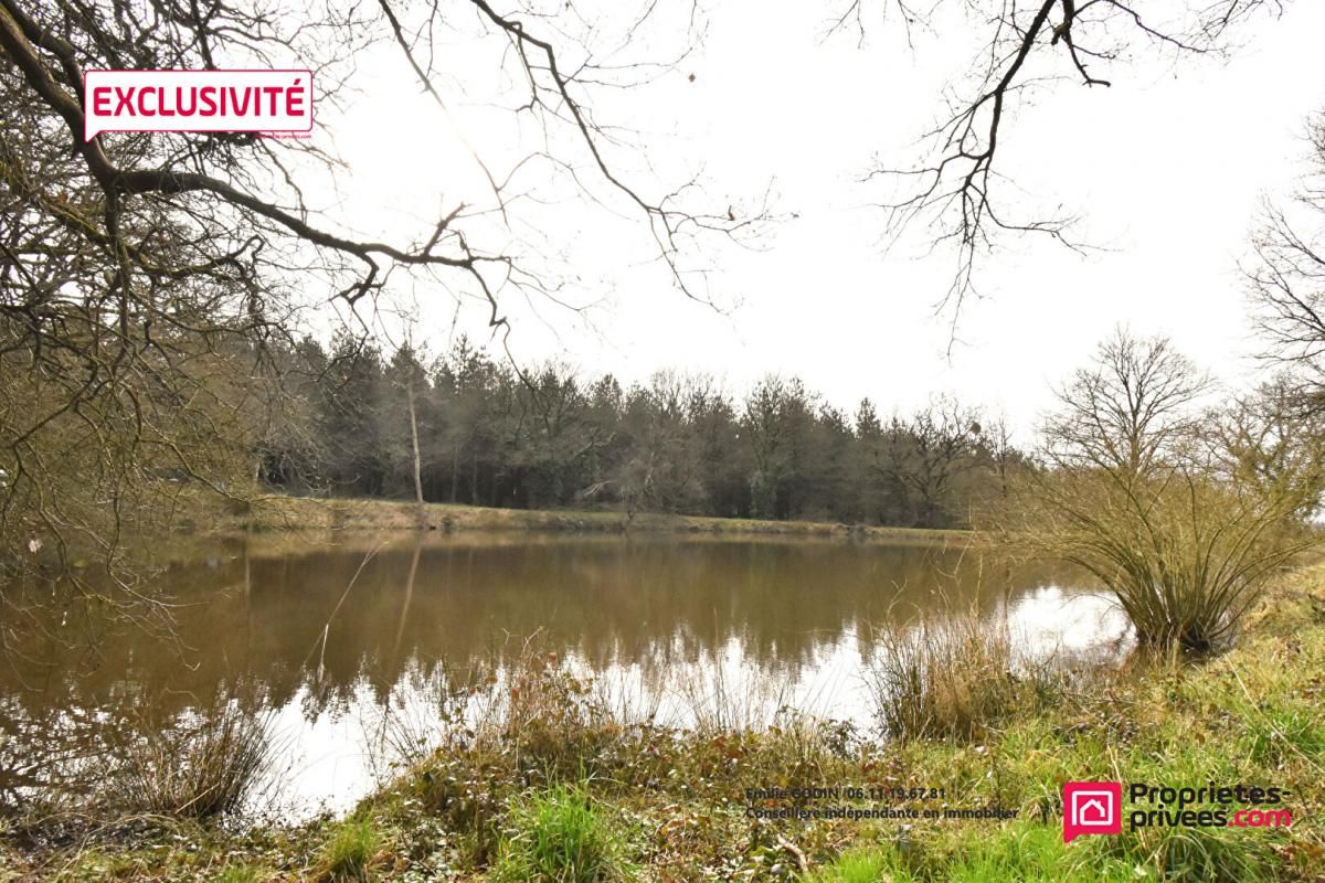 Terrain de loisirs avec étang La Plaine