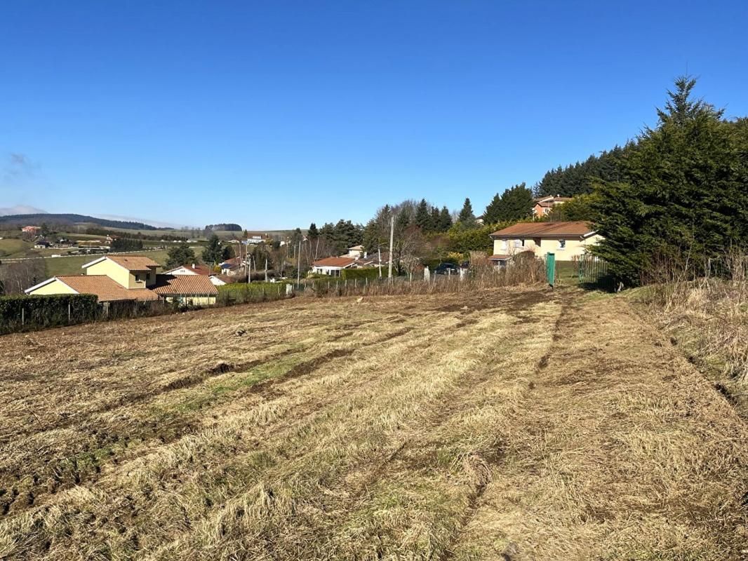TARARE Terrain de 760 M² , viabilisé avec belle vue dégagée 2