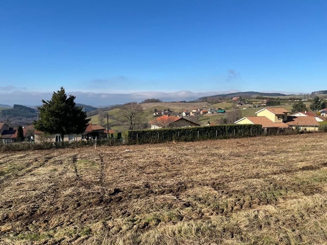 TARARE Terrain de 760 M² , viabilisé avec belle vue dégagée 3