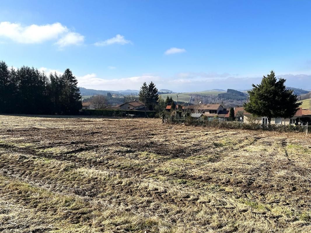 TARARE Terrain de 760 M² , viabilisé avec belle vue dégagée 4