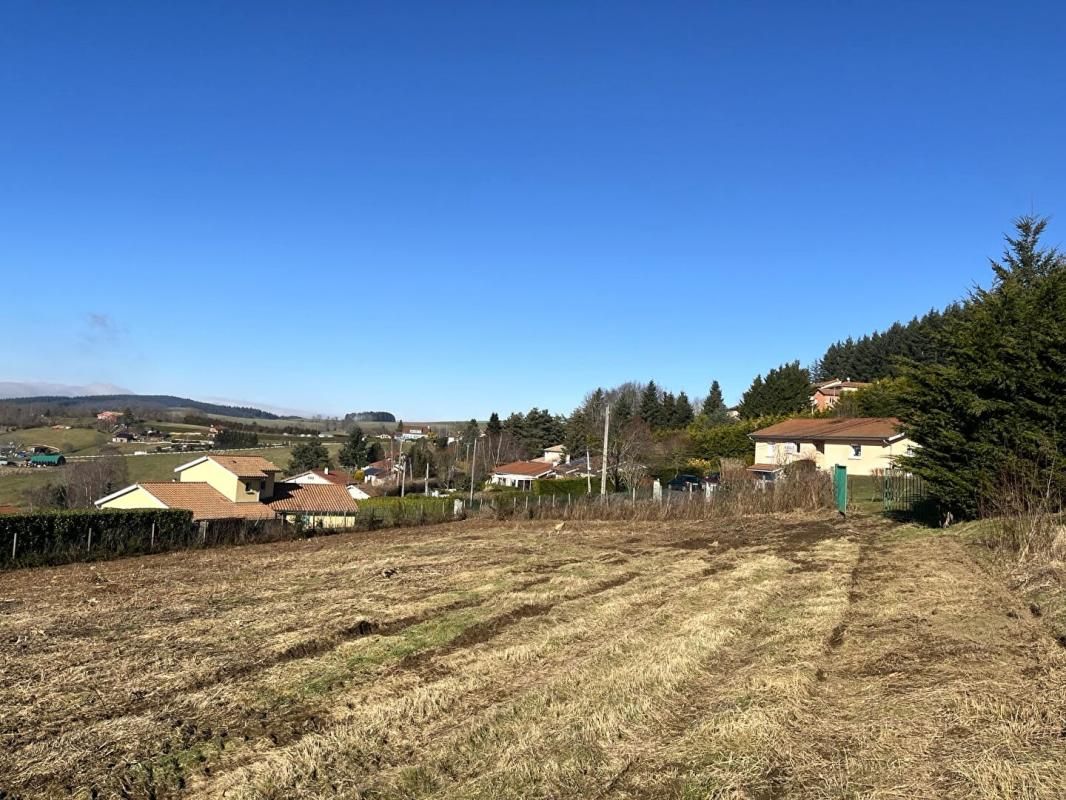 TARARE Terrain de 865 m² viabilisé avec belle vue dégagée 2