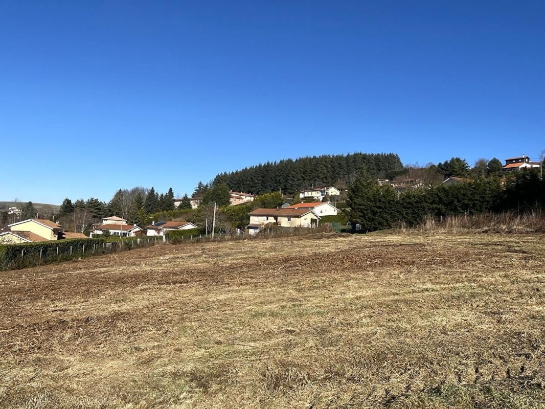 VIOLAY Terrain 800 m2 3