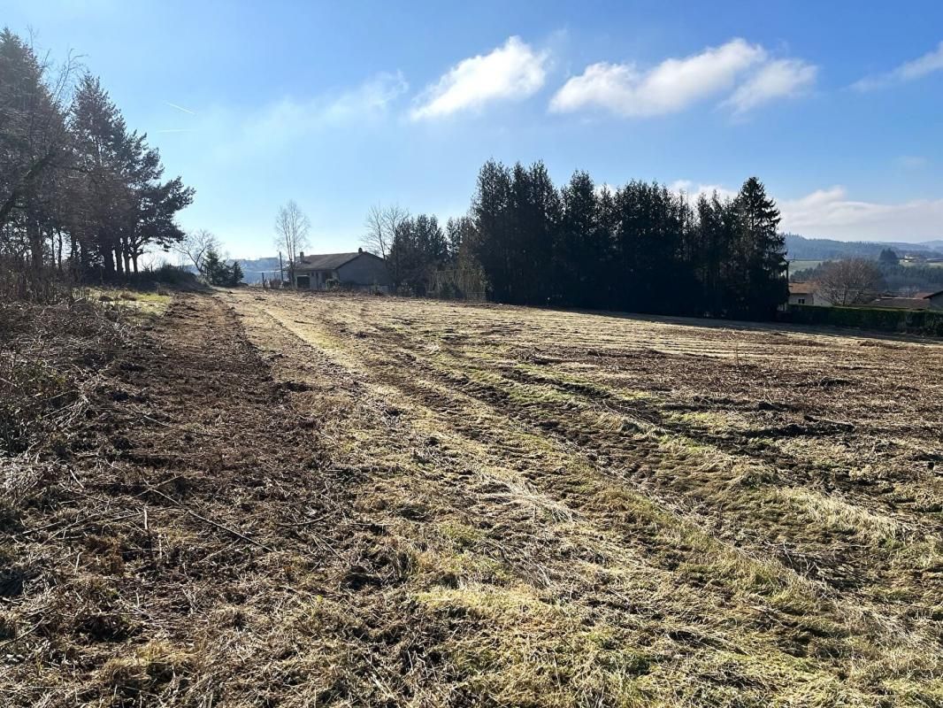 VIOLAY Terrain 800 m2 4