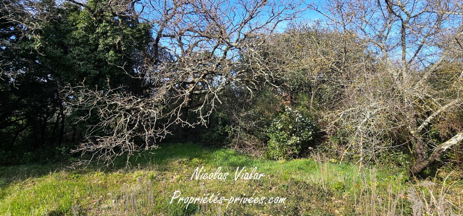 Terrain constructible à Montélimar